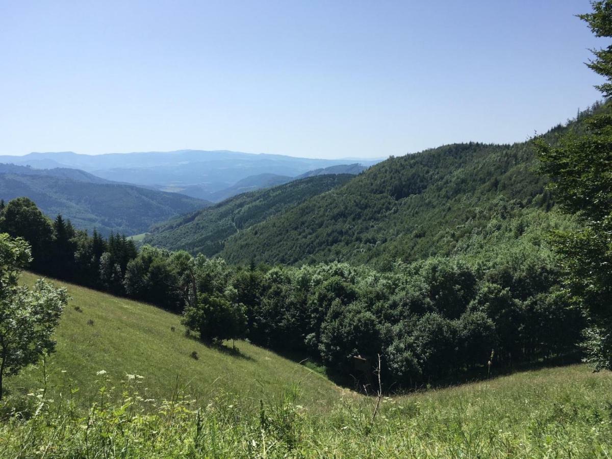 Apartmánový dom Spiežovec - Ap. 4 Donovaly Exteriér fotografie